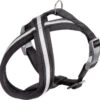 Adori Nylon Soft Harnas Cross Zwart&Reflecterend – Hondenharnas – 39-50X1.5 Cm 1 Adori Nylon Soft Harnas Cross Zwart&Reflecterend – Hondenharnas – 39-50X1.5 Cm -Beeztees Verkoopwinkel Adori Nylon Soft Harnas Cross ZwartampReflecterend Hondenharnas 39 50X1.5 cm