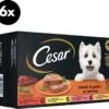 Cesar Classic Honden Natvoer Mix Multipack (6 Stuks X 4 Potjes X 150g) – 3600 Gram -Beeztees Verkoopwinkel Cesar Classic honden natvoer mix multipack 6 stuks x 4 potjes x 150g 3600 gram 1