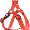 DDOXX Hondenharnas Nylon, Step-In, Reflecterend, Verstelbaar, Breakaway | Voor Kleine & Grote Honden | Borstharnas Hond Kat Puppy Auto | Puppy Harnas Kat Harnas | Oranje, XXS -Beeztees Verkoopwinkel DDOXX Hondenharnas Nylon Step In Reflecterend Verstelbaar Breakaway voor kleine amp grote honden Borstharnas Hond Kat Puppy Auto Puppy Har