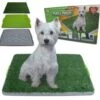 Hondentoilet – Puppytoilet – Puppy Zindelijk Maken – Puppy Trainer – Zindelijkheidstraining – Hondenmand – Vervanger Van Puppy Training Pads – Indoor & Outdoor Hondentoilet – Trainingshulpen Hond 2 Hondentoilet – Puppytoilet – Puppy Zindelijk Maken – Puppy Trainer – Zindelijkheidstraining – Hondenmand – Vervanger Van Puppy Training Pads – Indoor & Outdoor Hondentoilet – Trainingshulpen Hond -Beeztees Verkoopwinkel Hondentoilet Puppytoilet Puppy zindelijk maken Puppy trainer Zindelijkheidstraining Hondenmand Vervanger van puppy training pads Indoor