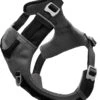 Kurgo Journey Air – Hondenharnas Voor Actieve Honden – Eenvoudig Te Bevestigen En Zichtbaar In Het Donker – Zwart/Grijs – XS, S, M, L En XL – Extra Small 2 Kurgo Journey Air – Hondenharnas Voor Actieve Honden – Eenvoudig Te Bevestigen En Zichtbaar In Het Donker – Zwart/Grijs – XS, S, M, L En XL – Extra Small -Beeztees Verkoopwinkel Kurgo Journey Air Hondenharnas voor actieve honden Eenvoudig te bevestigen en zichtbaar in het donker ZwartGrijs XS S M L en XL Extra Sm