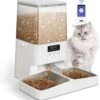 PETEMPO® Automatische Voerbak Kat – Voerautomaat – Bestuurbaar Met WiFi En Smartphone – Automatische Voerbak Voor Kat Of Hond – 5L -Beeztees Verkoopwinkel PETEMPO® Automatische Voerbak Kat Voerautomaat Bestuurbaar met WiFi en Smartphone Automatische Voerbak voor Kat of Hond 5L