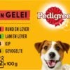 Pedigree Adult Honden Natvoer – Vlees & Gevogelte In Gelei – 48 X 100 Gr -Beeztees Verkoopwinkel Pedigree Adult Honden Natvoer Vlees amp Gevogelte in Gelei 48 x 100 gr 1