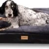 PrimePlus Hondenkussen XL Antraciet – 120x80x10 CM – Zacht En Luxe Hondenmand – Hondenbed – Hondenmat – Orthopedisch Hondenkussens -Beeztees Verkoopwinkel PrimePlus Hondenkussen XL Antraciet 120x80x10 CM Zacht en Luxe Hondenmand Hondenbed Hondenmat Orthopedisch Hondenkussens