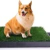 Rexa® Hondentoilet Voor Honden 63 X 50cm – Indoor Puppytoilet Met Gras, Trainingsonderlegger Voor Kleine Honden, Grote Honden En Oudere Honden – Zindelijkheidstraining