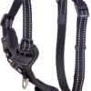 Rogz Utility Control Tuig Zwart – Hondenharnas – 32-52×1.6 Cm -Beeztees Verkoopwinkel Rogz Utility Control Tuig Zwart Hondenharnas 32 52x1.6 cm