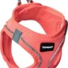 Topmast Airmesh Hondentuig – Click & Go – Roze – L – Reflecterend – Harnas Hond – Hondentuigje – Hondenharnas – Voor Puppy, Kleine, Medium En Grote Hond -Beeztees Verkoopwinkel Topmast Airmesh Hondentuig Click amp Go Roze L Reflecterend Harnas Hond Hondentuigje Hondenharnas Voor Puppy Kleine Medium en Grot
