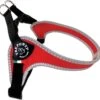 Tre Ponti Fibbia Basic Tuig Rood&Reflecterend – Hondenharnas – 35 – 49 Cm -Beeztees Verkoopwinkel Tre Ponti Fibbia Basic Tuig RoodampReflecterend Hondenharnas 35 49 cm