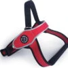 Tre Ponti Primo Tuig Rood&Reflecterend – Hondenharnas – 85 – 116 Cm 1 Tre Ponti Primo Tuig Rood&Reflecterend – Hondenharnas – 85 – 116 Cm -Beeztees Verkoopwinkel Tre Ponti Primo Tuig RoodampReflecterend Hondenharnas 85 116 cm